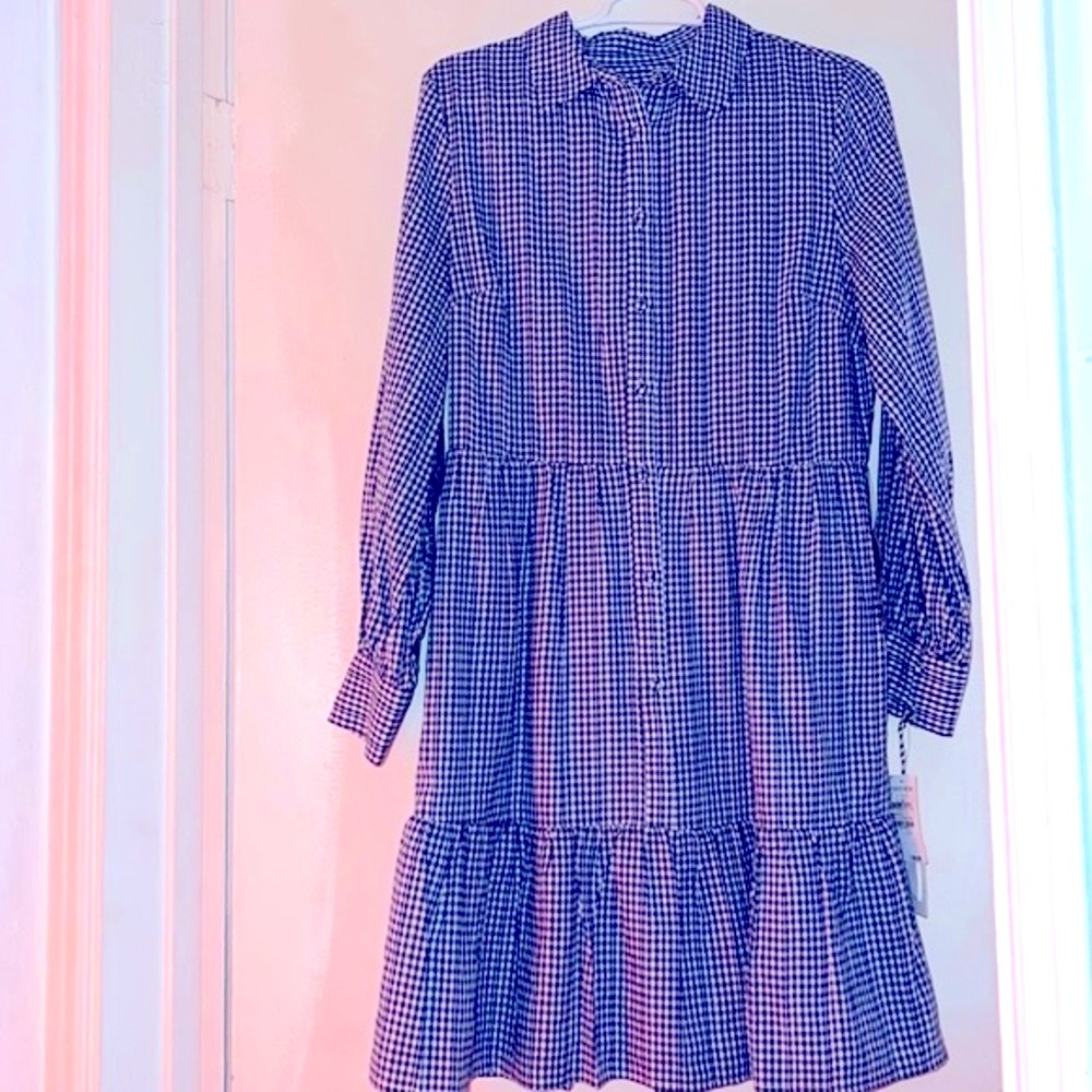 Blue Gingham Dress